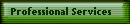 Professional Services